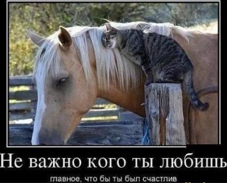 Не важно кого ты любишь
главное, что бы ты был счастлив