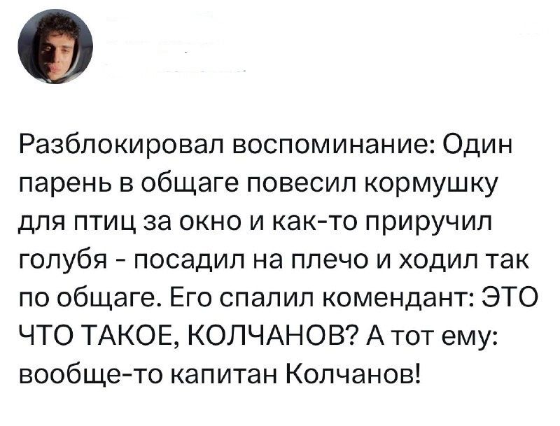 Разблокировал воспоминание: Один парень в общаге повесил кормушку для птиц за окно и как-то приручил голубя - посадил на плечо и ходил так по общаге. Его спалил комендант: ЭТО ЧТО ТАКОЕ, КОЛЧАНОВ? А тот ему: вообще-то капитан Колчанов!
