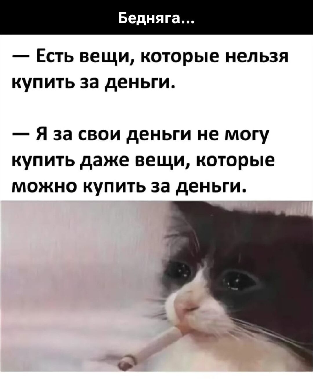 Бедняга...
— Есть вещи, которые нельзя купить за деньги.
— Я за свои деньги не могу купить даже вещи, которые можно купить за деньги.