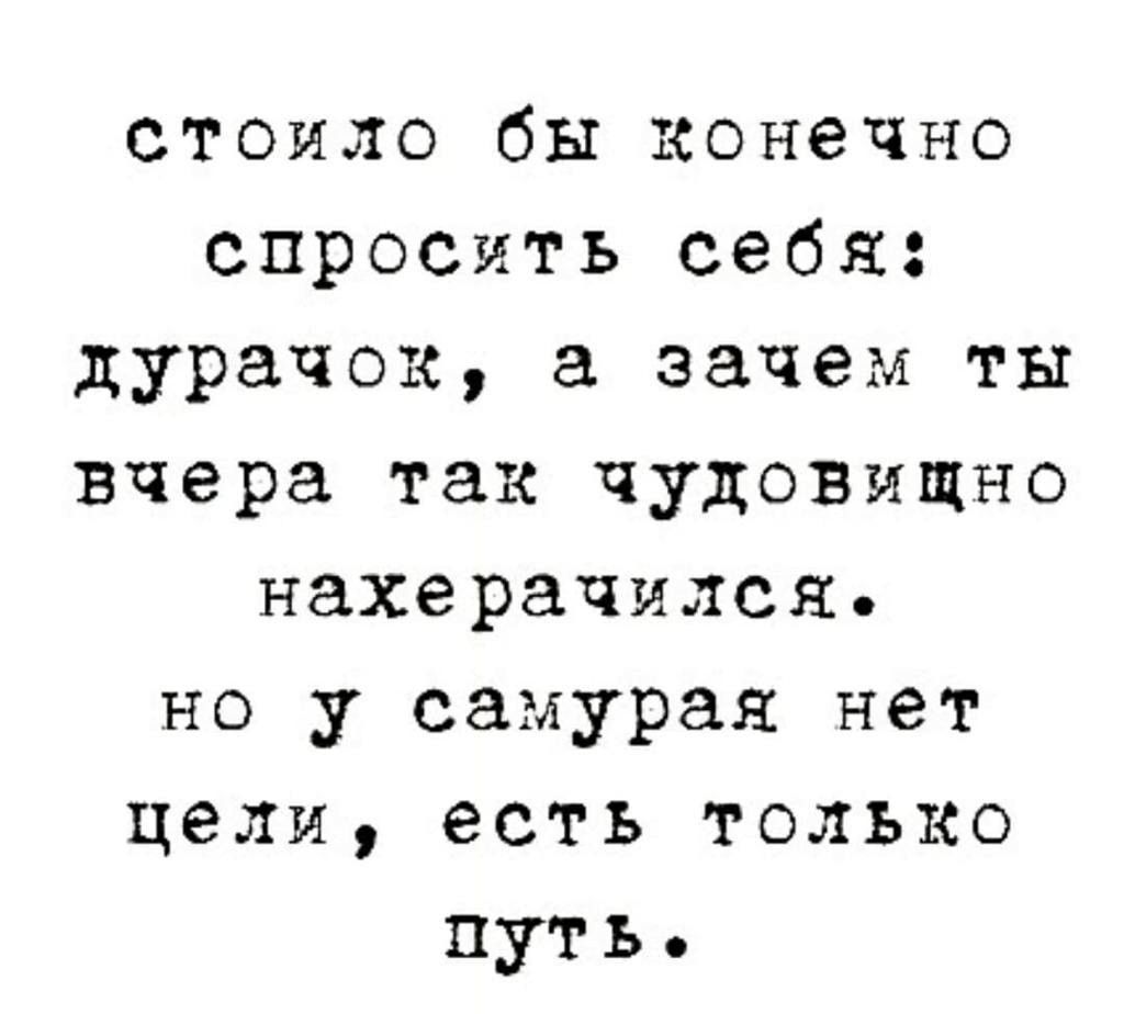 стоило бы конечно спросить себя: дурачок, а зачем ты вчера так чудовищно нахерачился. но у самурая нет цели, есть только путь.