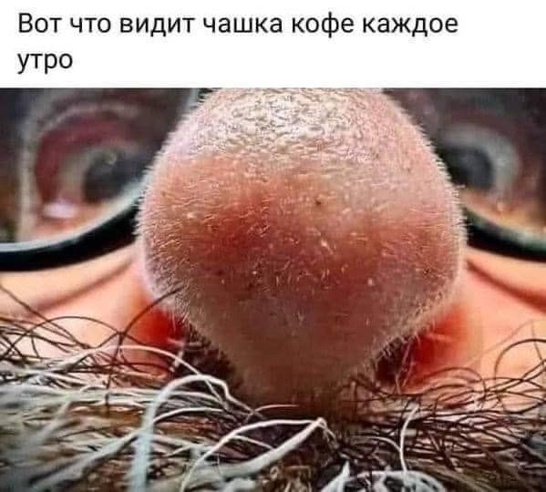 Вот что видит чашка кофе каждое утро