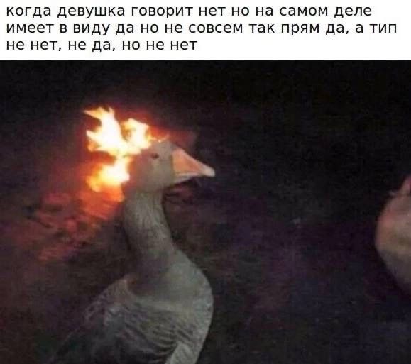 когда девушка говорит нет но на самом деле имеет в виду да но не совсем так прям да, а тип не нет, не да, но не нет