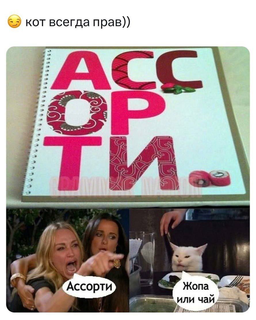 кот всегда прав))
Ассорти
Ассорти
Жопа или чай
