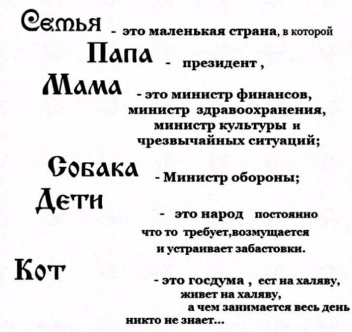 Семья - это маленькая страна, в которой
Папа - президент,
Мама - это министр финансов, министр здравоохранения, министр культуры и чрезвычайных ситуаций;
Собака - Министр обороны;
Дети - это народ постоянно что-то требует, возмущается и устраивает забастовки.
Кот - это госдума, ест на халяву, живет на халяву, а чем занимается весь день никто не знает...