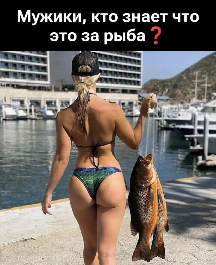 Мужики, кто знает что это за рыба ?