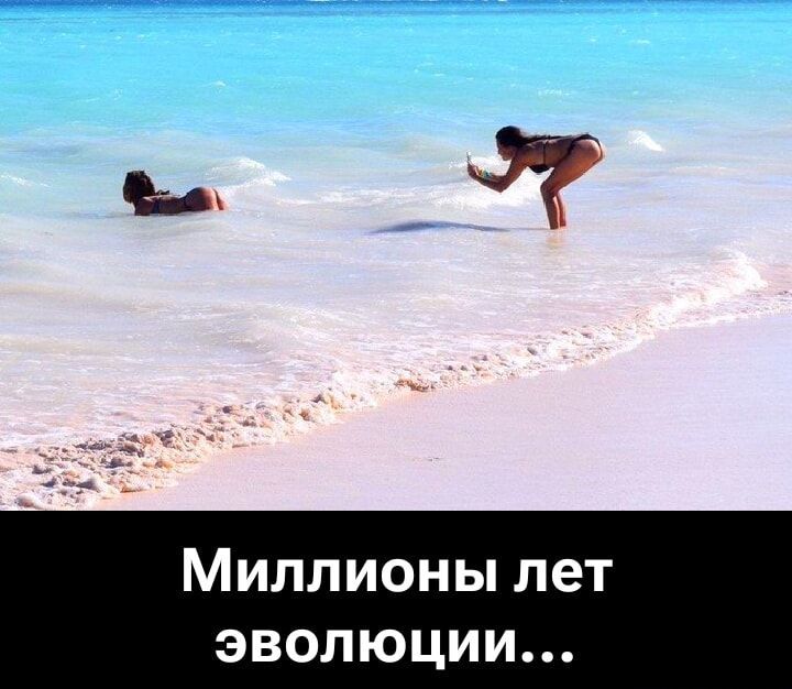 Миллионы лет эволюции...