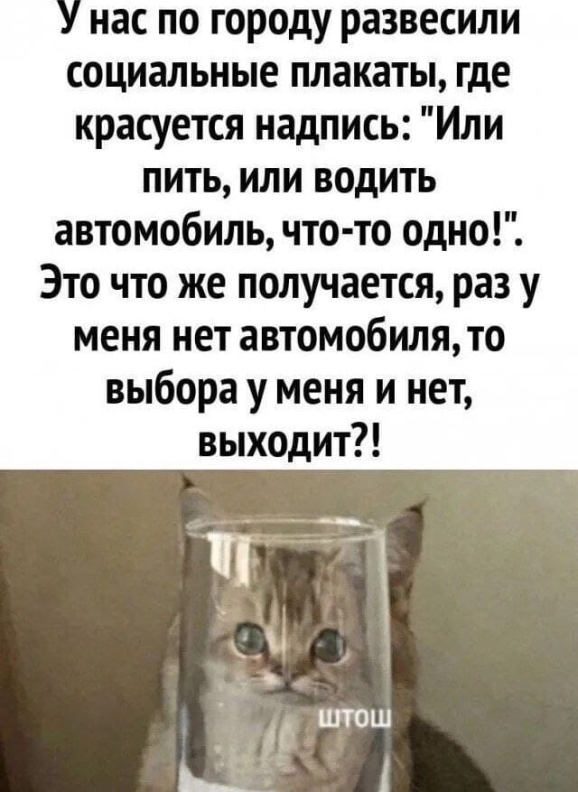 У нас по городу развесили социальные плакаты, где красуется надпись: 