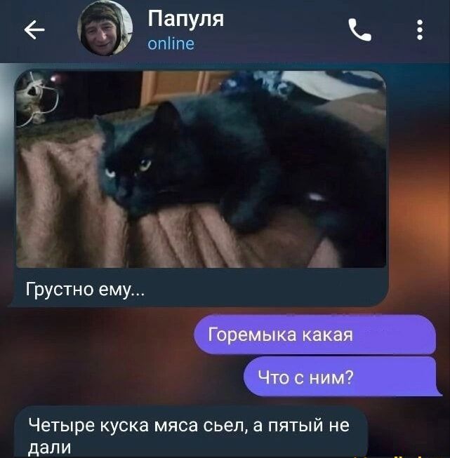 Грустно ему...
Горемыка какая
Что с ним?
Четыре куска мяса съел, а пятый не дали