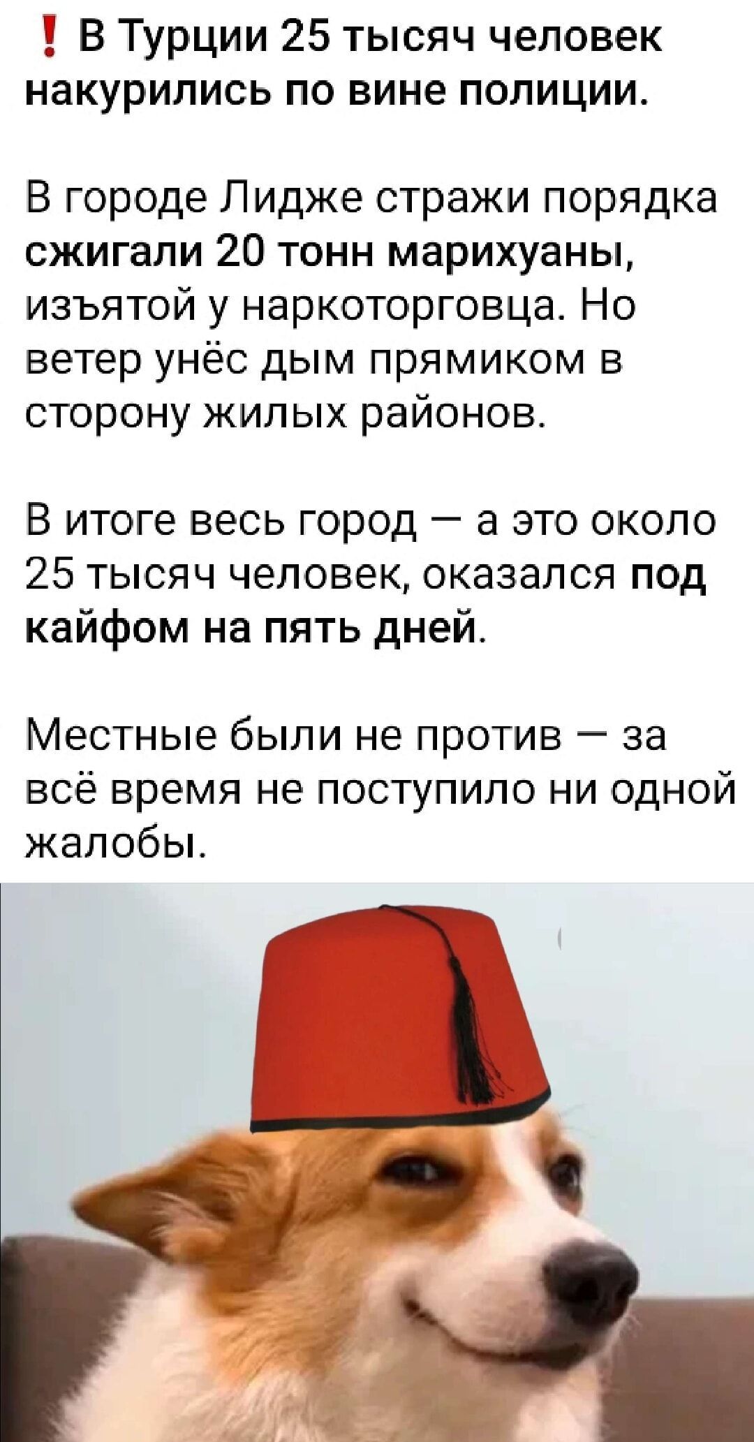 ‼️ В Турции 25 тысяч человек накурились по вине полиции.

В городе Лидже стражи порядка сожгли 20 тонн марихуаны, изъятой у наркоторговца. Но ветер унёс дым прямо в сторону жилых районов.

В итоге весь город — а это около 25 тысяч человек, оказался под кайфом на пять дней.

Местные были не против — за всё время не поступило ни одной жалобы.