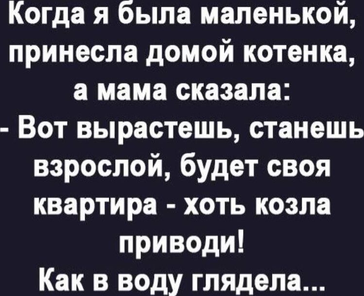 Когда я была маленькой, принесла домой котенка, а мама сказала: - Вот вырастешь, станешь взрослой, будет своя квартира - хоть козла приводі! Как в воду глядела...