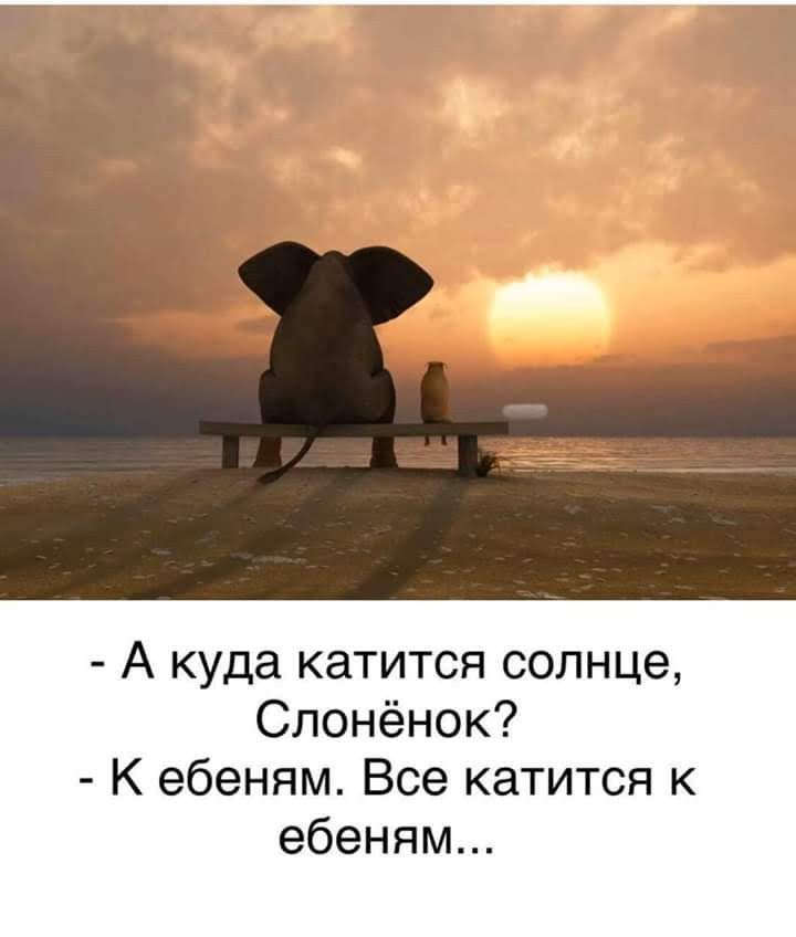 - А куда катится солнце, Слонёнок?  
- К ебеням. Все катится к ебеням...