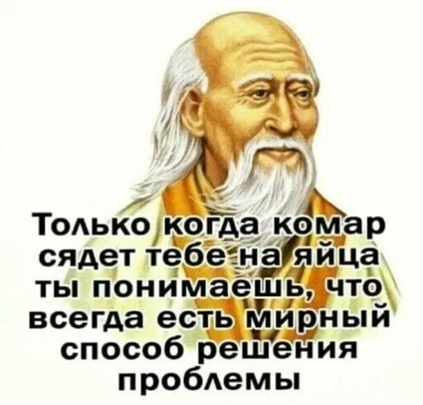 Только когда комар сядет тебе на яйца ты понимаешь, что всегда есть мирный способ решения проблемы