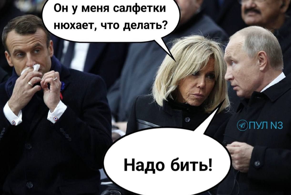 Он у меня салфетки нюхает, что делать? Надо бить!