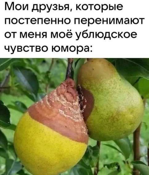 Мои друзья, которые постепенно переносят от меня моё ублюдское чувство юмора:
