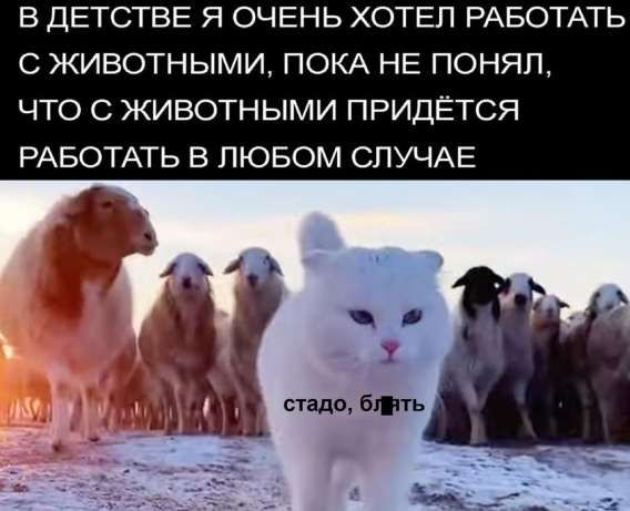 В детстве я очень хотел работать с животными, пока не понял, что с животными придётся работать в любом случае
стадо, блять