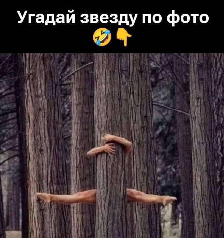Угадай звезду по фото