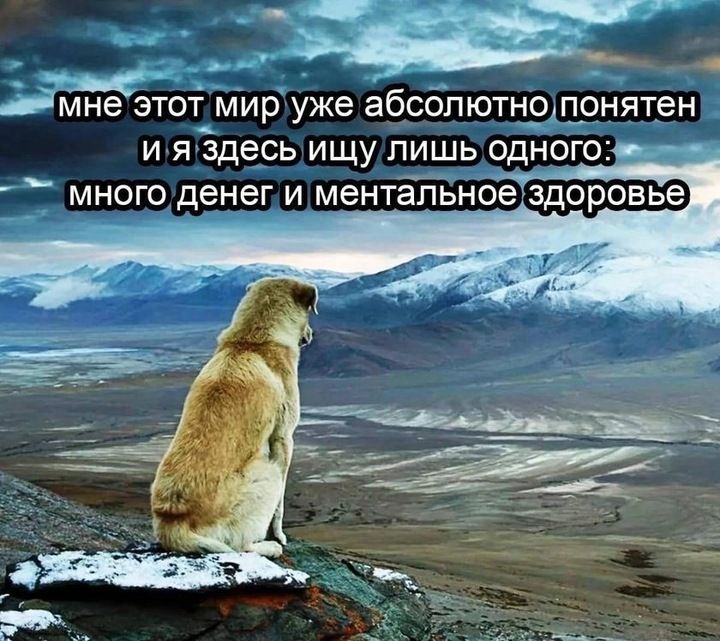 мне этот мир уже абсолютно понятен и я здесь ищу лишь одного: много денег и ментальное здоровье