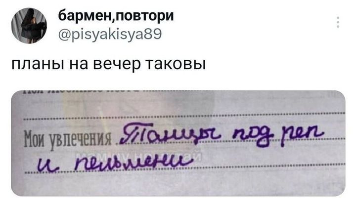 Мои увлечения. Тапочки под реп и пельмени