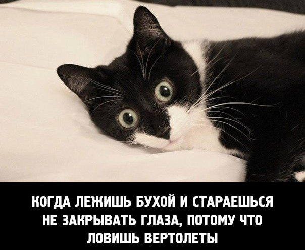КОГДА ЛЕЖИШЬ БУХОЙ И СТАРАЕШЬСЯ НЕ ЗАКРЫВАТЬ ГЛАЗА, ПОТОМУ ЧТО ЛОВИШЬ ВЕРТОЛЕТЫ