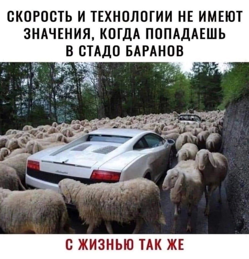 СКОРОСТЬ И ТЕХНОЛОГИИ НЕ ИМЕЮТ ЗНАЧЕНИЯ, КОГДА ПОПАДАЕШЬ В СТАДО БАРАНОВ С ЖИЗНЬЮ ТАК ЖЕ