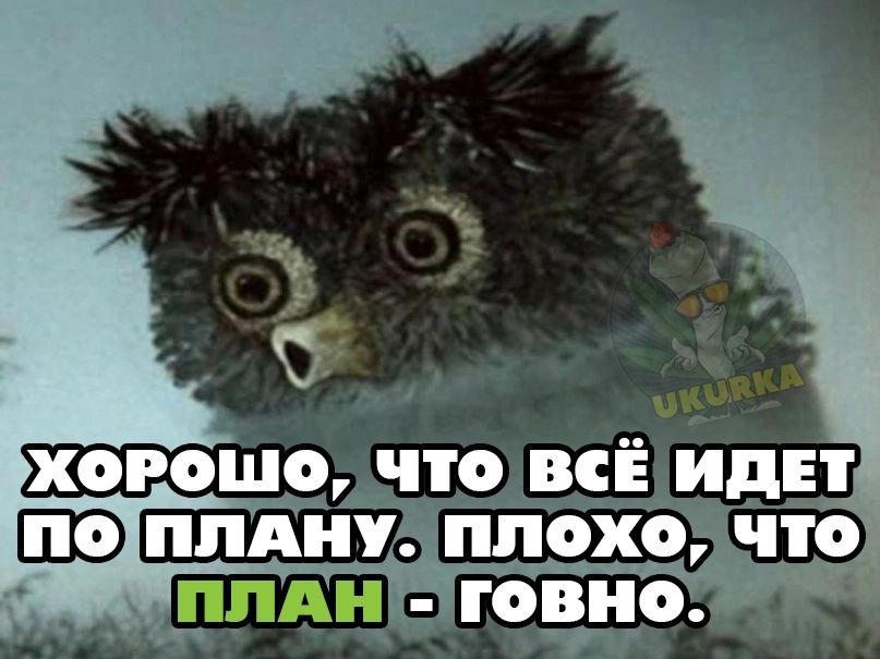 ХОРОШО, ЧТО ВСЁ ИДЕТ ПО ПЛАНУ. ПЛОХО, ЧТО ПЛАН - ГОВНО.