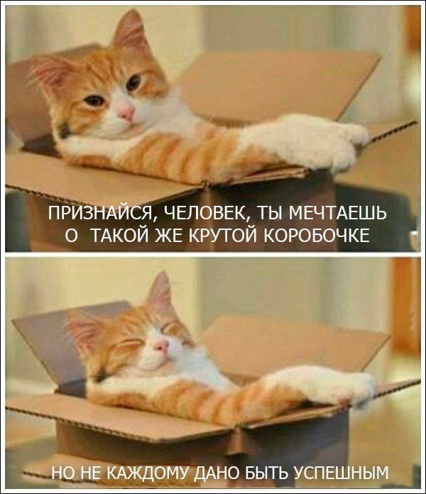 ПРИЗНАЙСЯ, ЧЕЛОВЕК, ТЫ МЕЧТАЕШЬ О ТАКОЙ ЖЕ КРУТОЙ КОРОБЧКЕ
НО НЕ КАЖДОМУ ДАНО БЫТЬ УСПЕШНЫМ