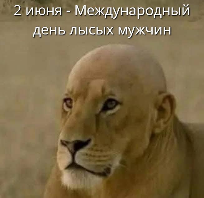 2 июня - Международный день лысых мужчин