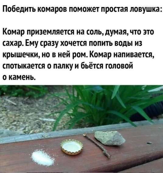 Победить комаров поможет простая ловушка:
Комар приземляется на соль, думая, что это сахар. Ему сразу хочется пить воды из крышечки, но в ней ром. Комар напивается, спотыкается о палку и бьётся головой о камень.