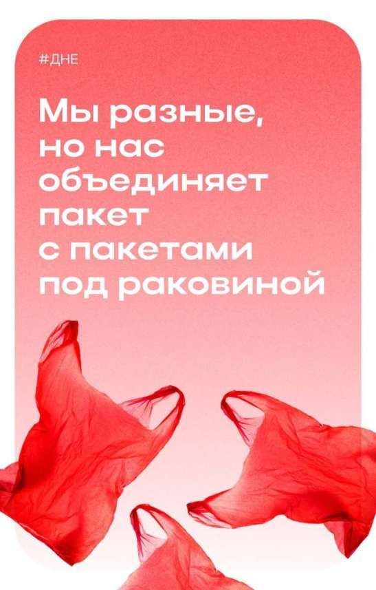 Мы разные, но нас объединяет пакет с пакетами под раковиной.