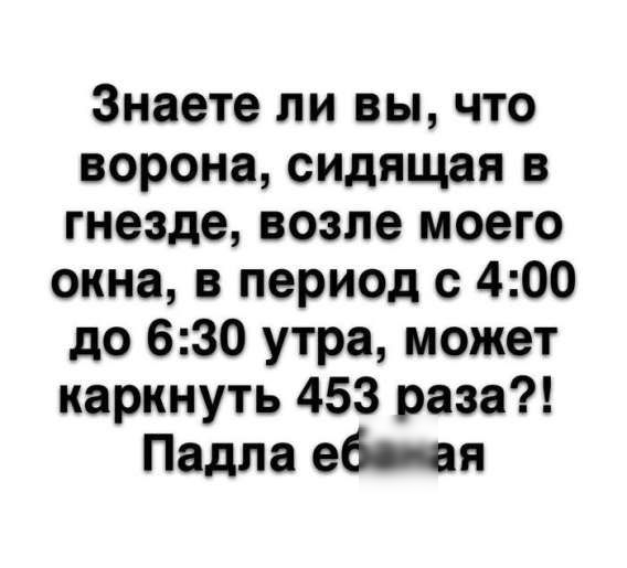 Знаете ли вы, что ворона, сидящая в гнезде, возле моего окна, в период с 4:00 до 6:30 утра, может каркнуть 453 раза?! Падла ебаная