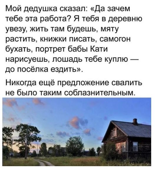 Мой дедушка сказал: «Да зачем тебе эта работа? Я тебя в деревню увезу, жить там будешь, мяту растить, книжки писать, самогон бухать, портрет бабы Кати нарисуешь, лошадь тебе куплю — до посёлка ездить». Никогда ещё предложение свалить не было таким соблазнительным.