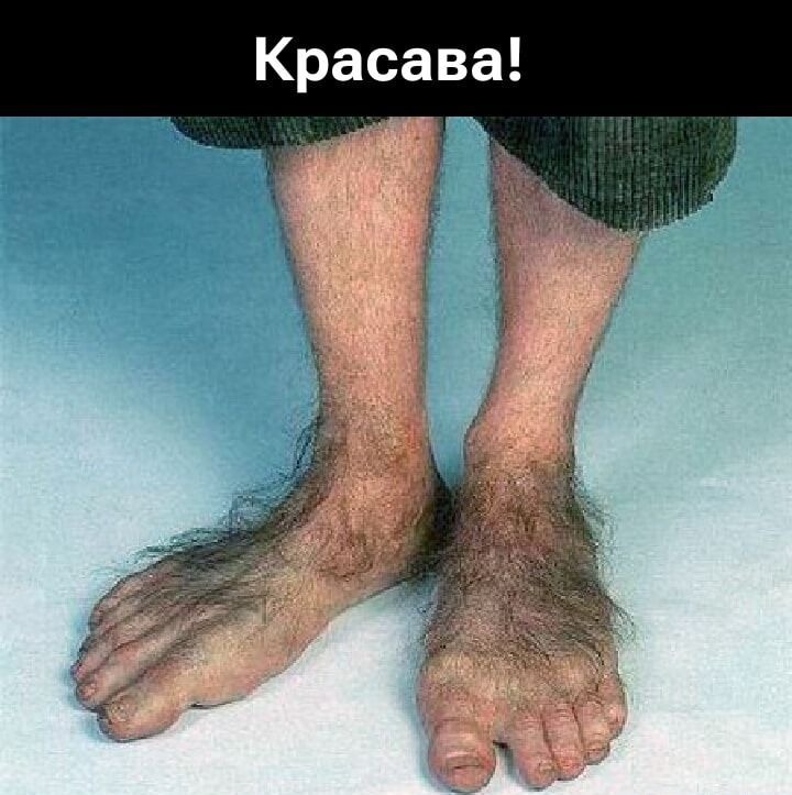 Красава!