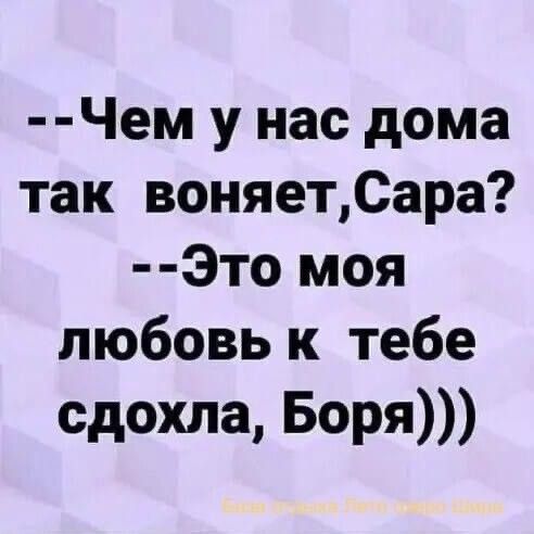 --Чем у нас дома так воняет, Сара? --Это моя любовь к тебе сдохла, Боря)))