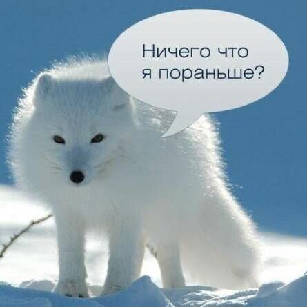 Ничего что я пораньше?