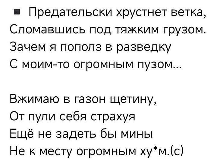 Предательски хрустнет ветка,
Сломавшись под тяжким грузом.
Зачем я пополз в разведку
С моим-то огромным пузом...

Вжимаю в газон щетину,
От пули себя страшая
Ещё не задет бы мины
Не к месту огромным ху*м.(c)