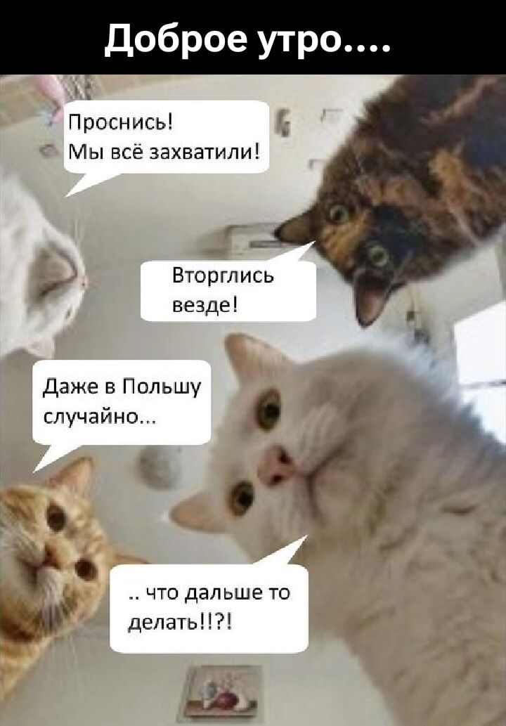 Доброе утро....
Проснись! Мы всё захватили!
Вторглись везде!
Даже в Польшу случайно...
.. что дальше то делать!!?!