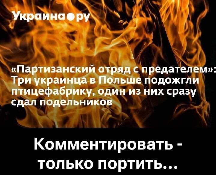 «Партизанский отряд с предателем»: Три украинца в Польше подожгли птицефабрику, один из них сразу сдал подельников
Комментировать - только портить...