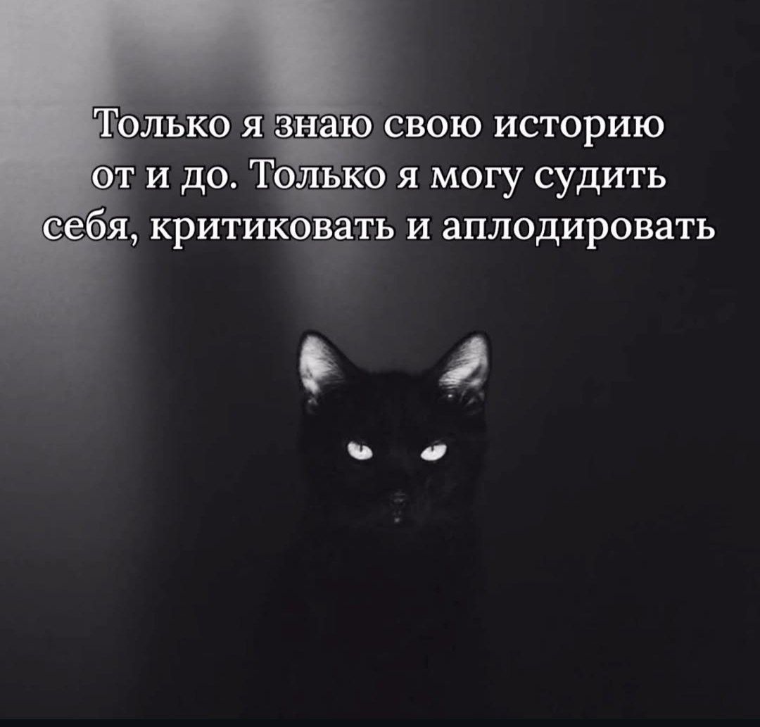 Только я знаю свою историю от и до. Только я могу судить себя, критиковать и аплодировать
