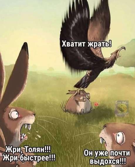 Хватит жрать! Жри, Толя́н!!! Жри быстрее!!! Он уже почти выдохся!