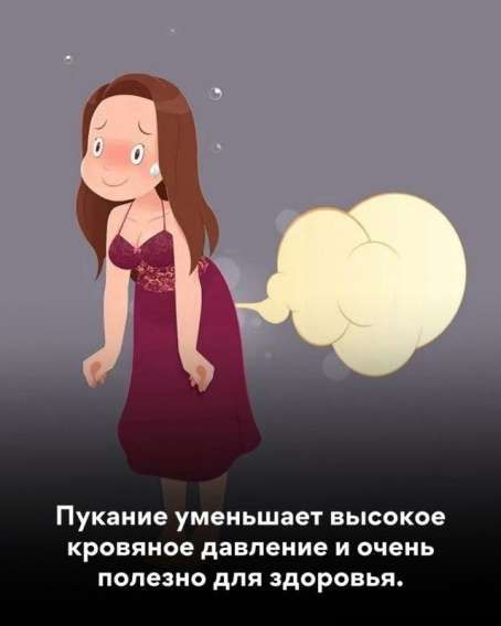 Пукание уменьшает высокое кровяное давление и очень полезно для здоровья.