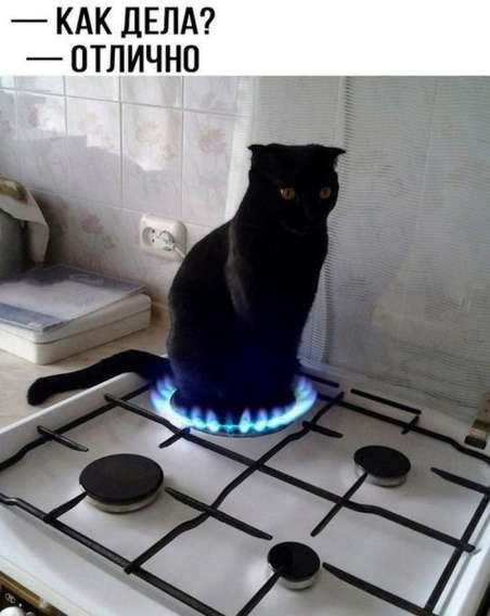 КАК ДЕЛА? - ОТЛИЧНО