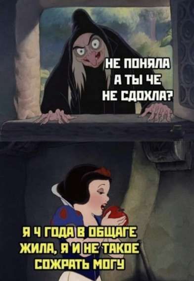 НЕ ПОНИМАЛА, А ТЫ ЧЕ НЕ СДОХЛА? Я ЧЕТЫРЕ ГОДА В ОБЩАГЕ ЖИЛА, Я И НЕ ТАКОЕ СОЖРАТЬ МОГУ.