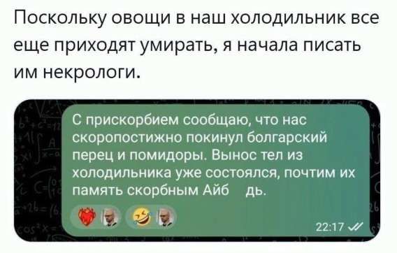 Поскольку овощи в наш холодильник все еще приходят умирать, я начала писать им некрологи.

С прискорбием сообщаю, что нас скоропостижно покинул болгарский перец и помидоры. Вынос тел из холодильника уже состоялся, почти их память скорбным Айб ▌дь.