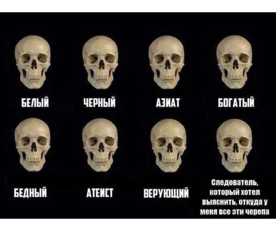 БЕЛЫЙ
ЧЕРНЫЙ
АЗИАТ
БОГАТЫЙ
БЕДНЫЙ
АТЕИСТ
ВЕРУЮЩИЙ

Следователь, который хотел выяснить, откуда у меня все эти черепа