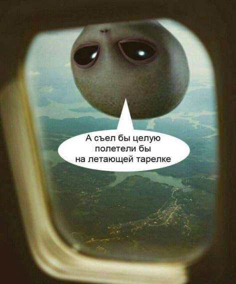 А съел бы целую полетели бы на летающей тарелке