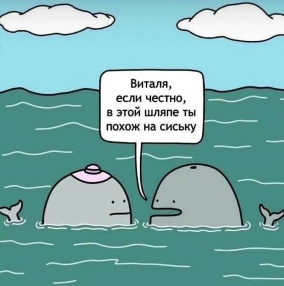 Виталя, если честно, в этой шляпе ты похож на сиську
