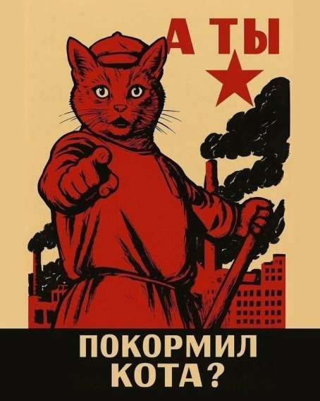 А ТЫ ПОКОРМИЛ КОТА?