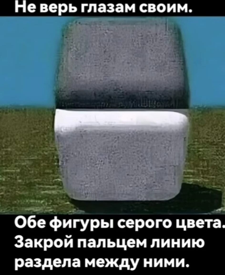 Не верь глазам своим.

Обe фигуры серого цвета. Закрой пальцем линию раздела между ними.