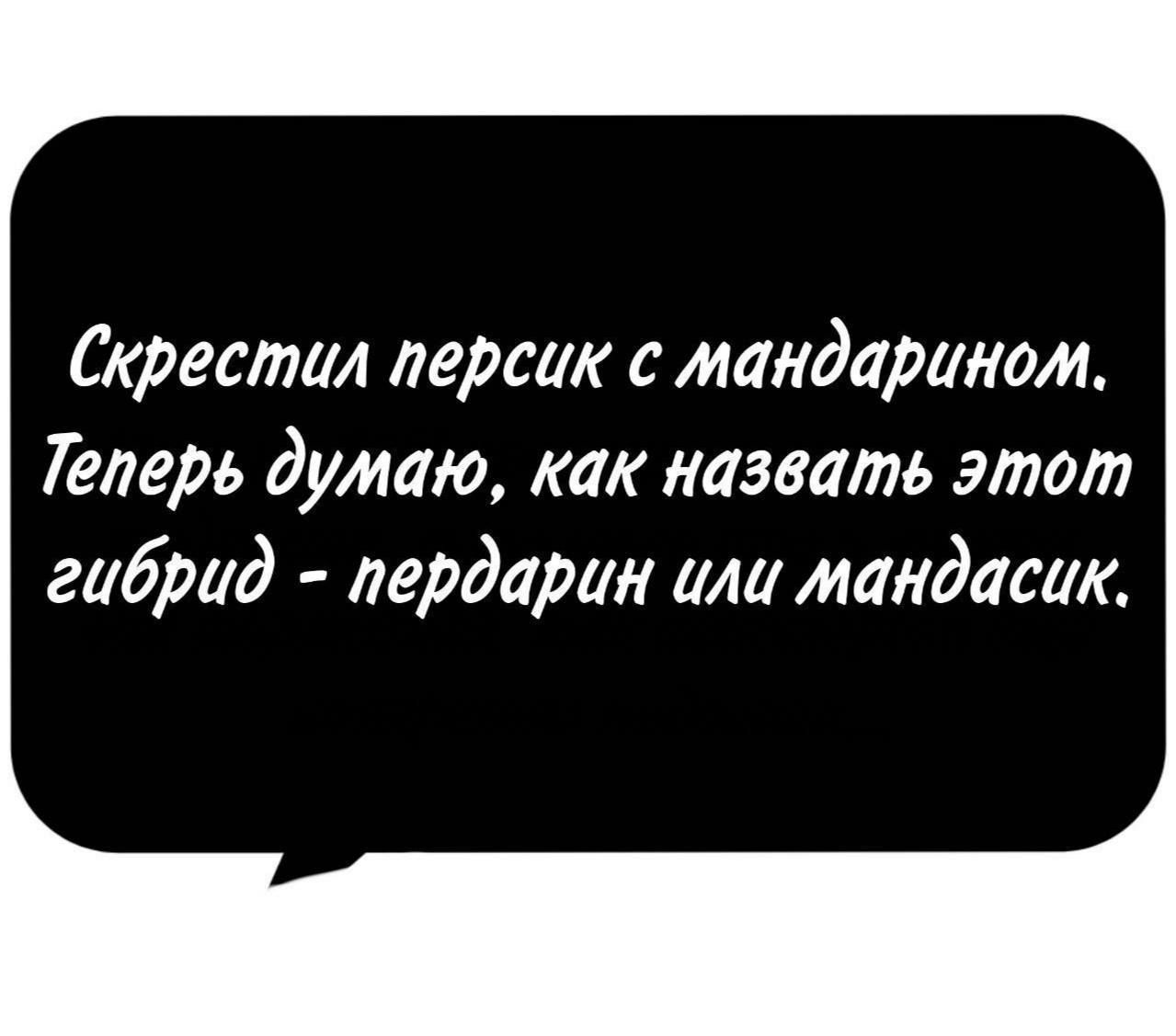 Скрестил персик с мандарином. Теперь думаю, как назвать этот гибрид - пердарин или мандасик.