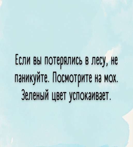 Если вы потерялись в лесу, не паникуйте. Посмотрите на мох. Зеленый цвет успокаивает.